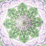 One Second Of the Universe