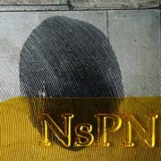 Non Expedit