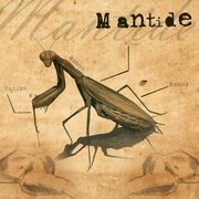 Mantide