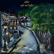 Night and Fireflies