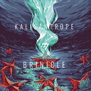 Brinicle