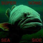 Supersonic Seaside