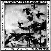 the rip