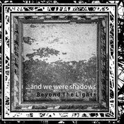 beyond the lights