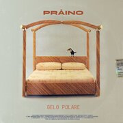 Gelo Polare