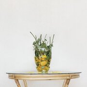 Una casa stregata