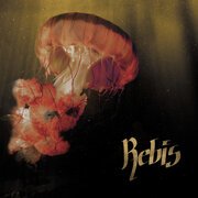 Rebis