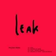 Leak