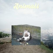 Animali