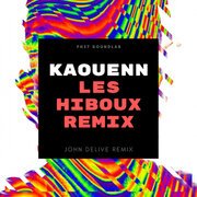 Les Hiboux Remix