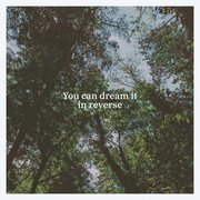 You Can Dream It In Reverse