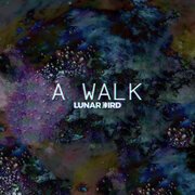A Walk