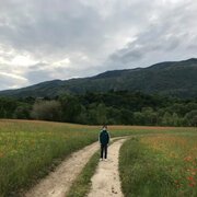 Le canzoni di via Pantan
