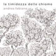 La timidezza delle chiome