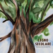 Legno secolare