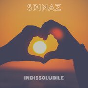 Indissolubile