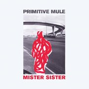 Mister Sister