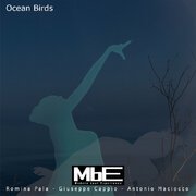 Ocean Birds