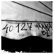 40127 wanna be (feat. Wise Koala)