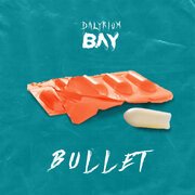 Bullet