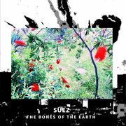 The Bones Of The Earth