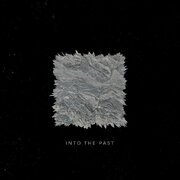 Into the Past
