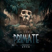 Primate
