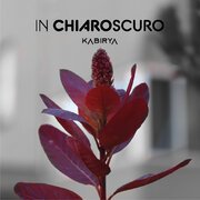 In chiaroscuro
