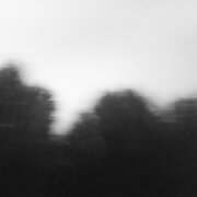The Long Run