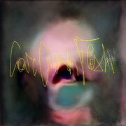 Car Crash Flesh