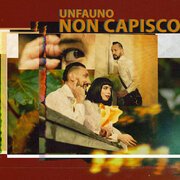 Non capisco