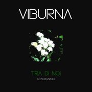 Tra di noi (l'essenziale)