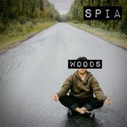 woods
