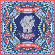 L'elefante nella stanza