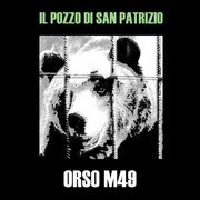 Orso M49