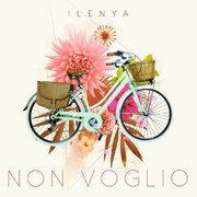 NON VOGLIO