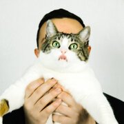 430 FOTO