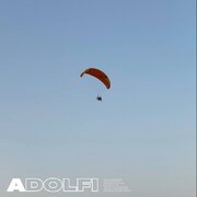 Adolfi