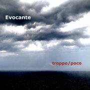 troppo/poco