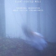 Unmarked Glade