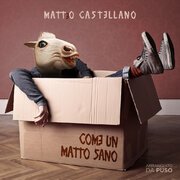 Come un matto sano