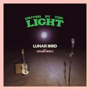 Driven by the Light (feat. Adriano Modica)