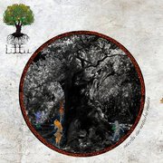 Accolti da antiche radici