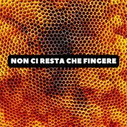 NON CI RESTA CHE FINGERE