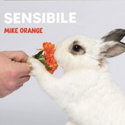 SENSIBILE
