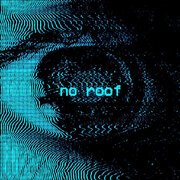 NO ROOF