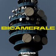Bicamerale