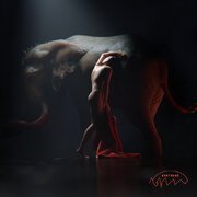 The Elephant in the Room