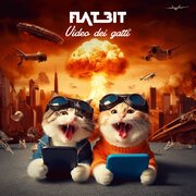 Video dei gatti
