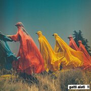 Gatti Alati II
